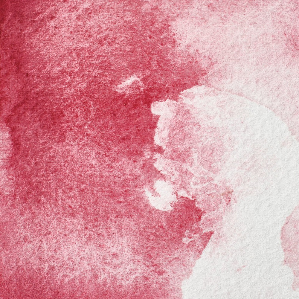 Farba akwarelowa Professional w półkostce - Winsor & Newton - Rose Madder Genuine