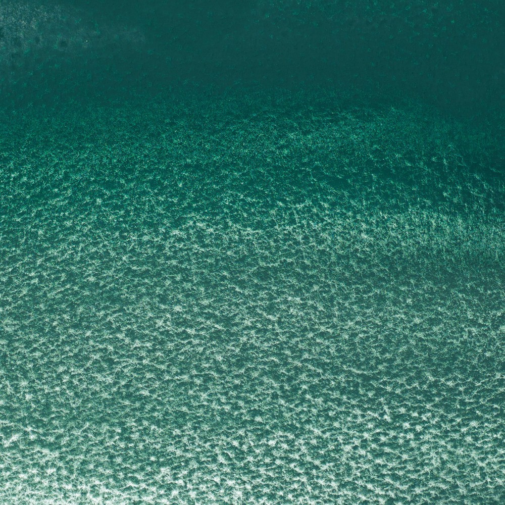 Farba akwarelowa Professional w półkostce - Winsor & Newton - Cobalt Green Deep