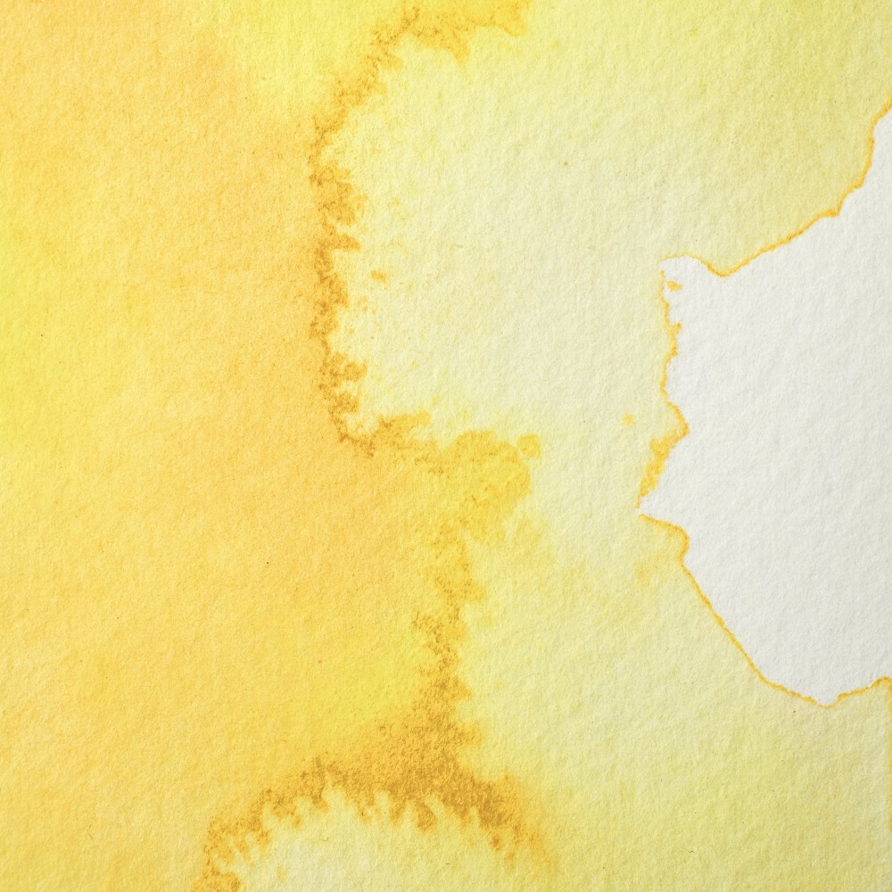 Farba akwarelowa Professional w półkostce - Winsor & Newton - Aureolin Hue