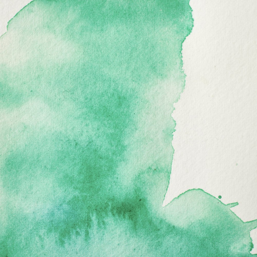 Professional Watercolor half-pan - Winsor & Newton - Viridian Hue