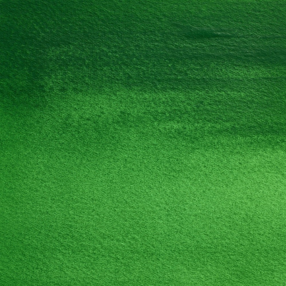 Professional Watercolor half-pan - Winsor & Newton - Cinnabar Green