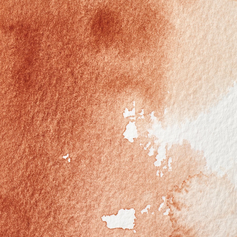 Professional Watercolor half-pan - Winsor & Newton - Burnt Sienna