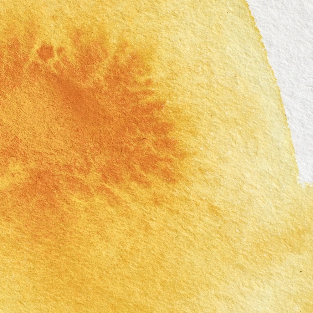 Professional Watercolor half-pan - Winsor & Newton - Cadmium Yellow Deep