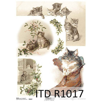 Decoupage paper A4 - ITD Collection - rice, R1017