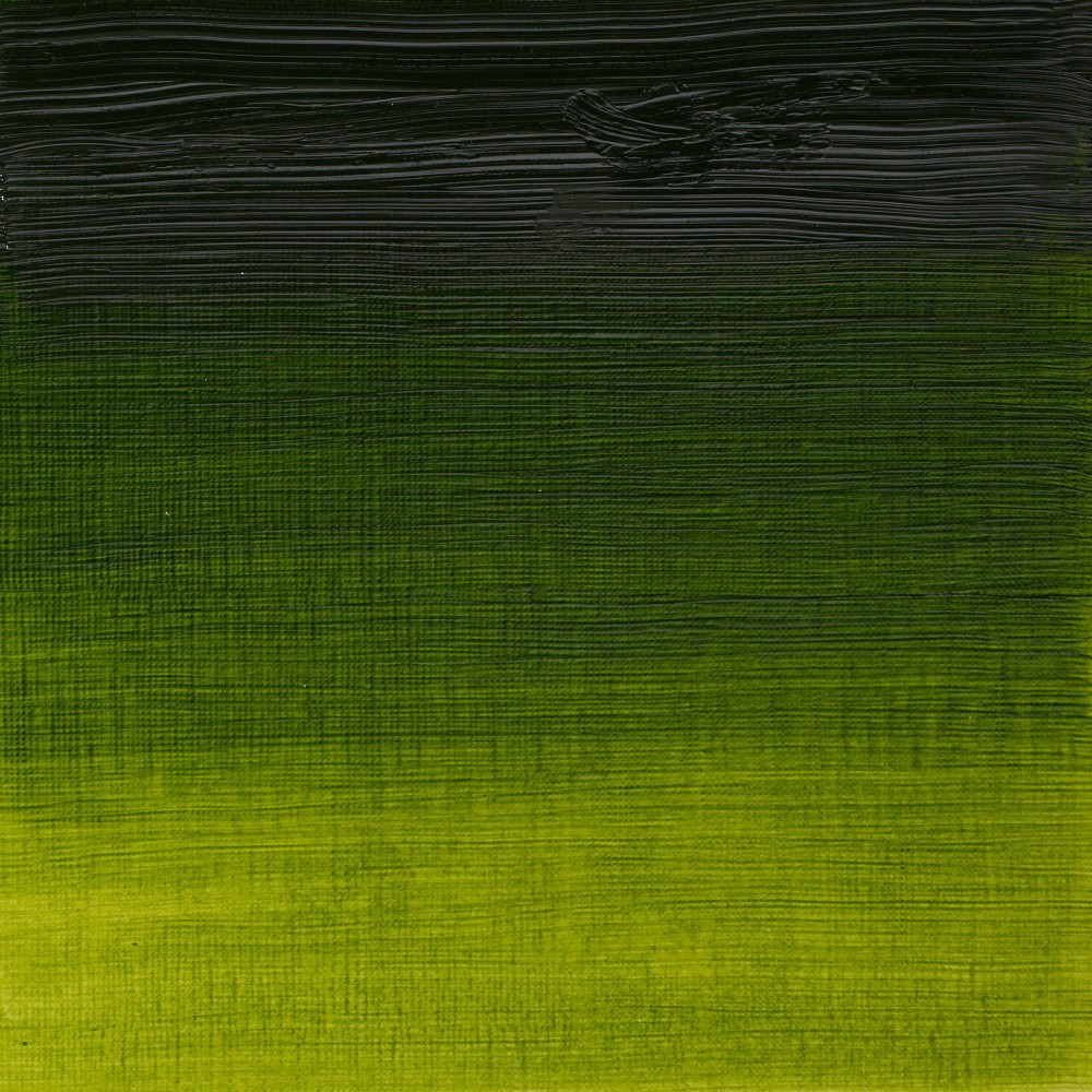 Oil paint Artists' Oil Colour - Winsor & Newton - Sap Green 200 ml