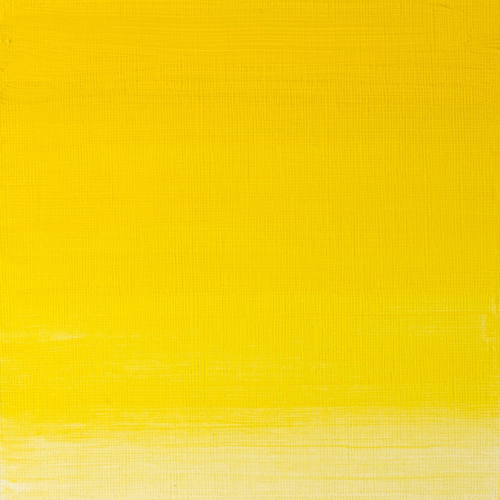 Oil paint Artists' Oil Colour - Winsor & Newton - Winsor Yellow 200 ml