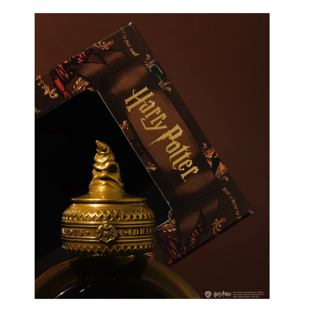 Atrament Harry Potter - Ferris Wheel Press - The Sorting Hat 38 ml