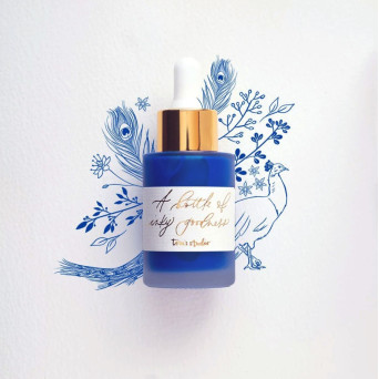 Calligraphy ink - Tom’s Studio - Peacock 30 ml