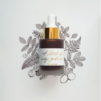 Calligraphy ink - Tom’s Studio - Walnut 30 ml