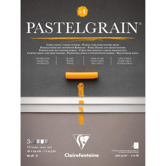 Papier do pasteli suchych PastelGrain No.1 - Clairefontaine - 18 x 24 cm 360 g 12 ark.