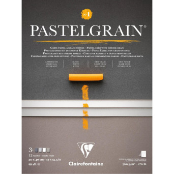 Papier do pasteli suchych PastelGrain No.1 - Clairefontaine - 30 x 40 cm 360 g 12 ark.