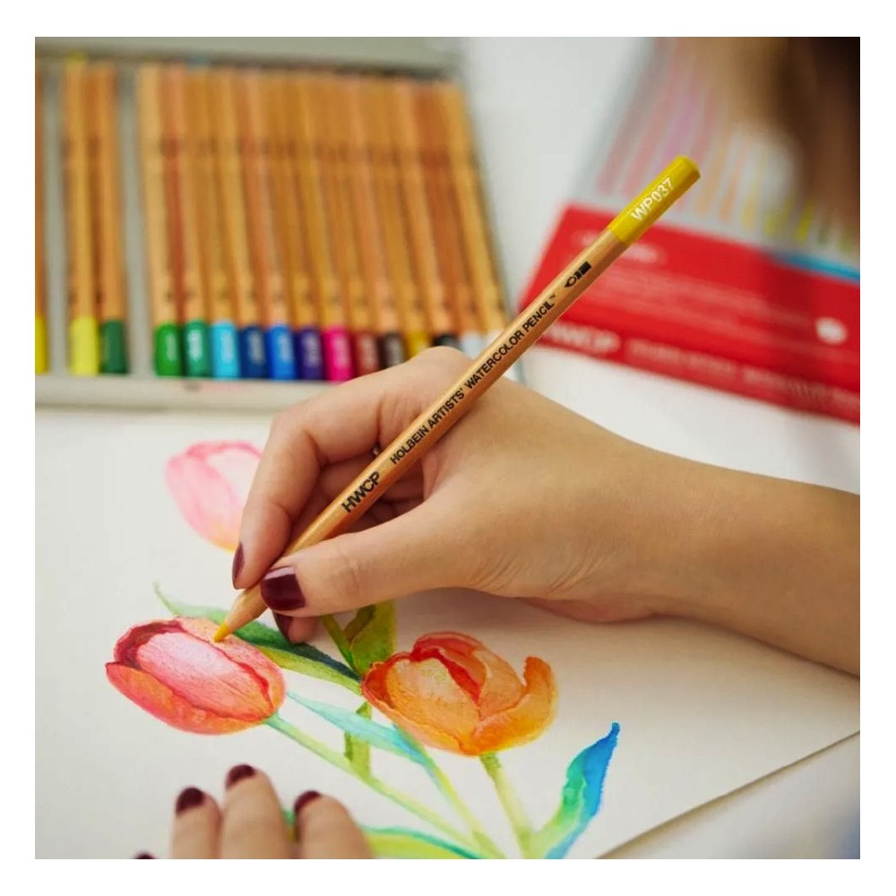 Set of Artists' Watercolor Pencils - Holbein - 50 pcs