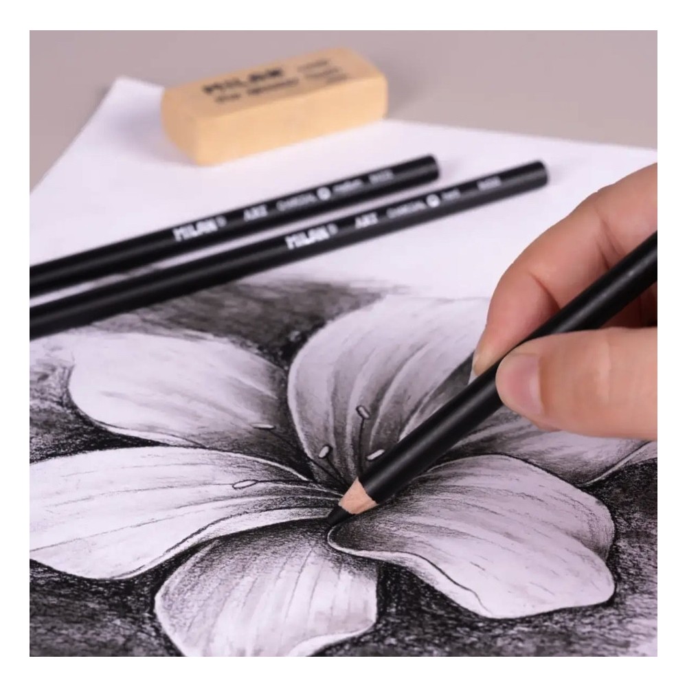 Set of Art charcoals in wood - Milan - black 3 pcs.