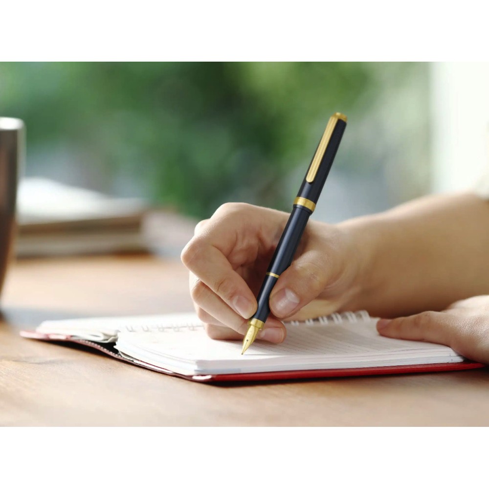 Fountain pen Biso - Platinum - Nebula Black M