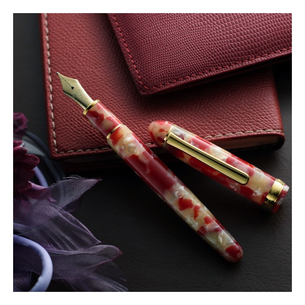 Fountain pen 3776 Celluloid - Platinum - Koi M