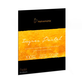 Papier do pasteli Ingres 30 x 40 cm - Hahnemühle - Colored 100 g/m2 20 ark.