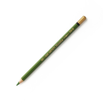 Watercolor colored pencil - Koh-I-Noor - 25 Meadow Green