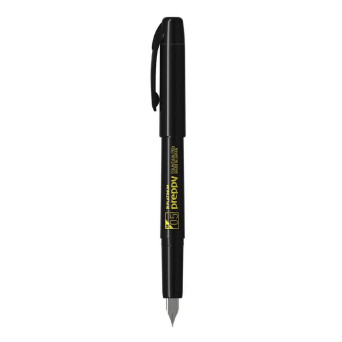 Fountain pen Preppy 900 - Platinum - Black M