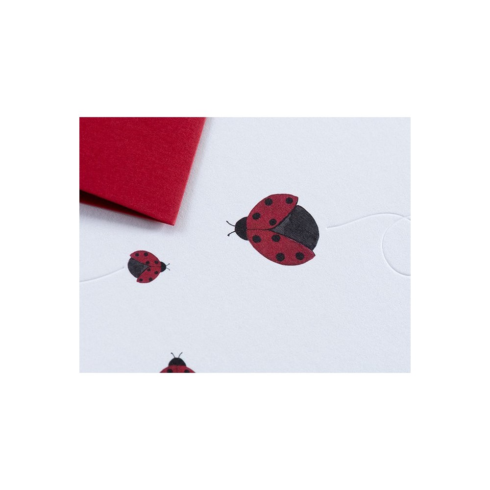 Greeting card A6 - Gmund - Traces at Lake Ladybird