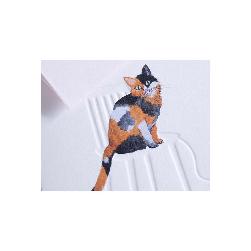 Greeting card A6 - Gmund - Traces at Lake Tortoiseshell Cat