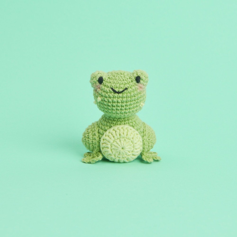 Zestaw do szydełkowania Mini Easy Ricorumi - Rico Design - Frog