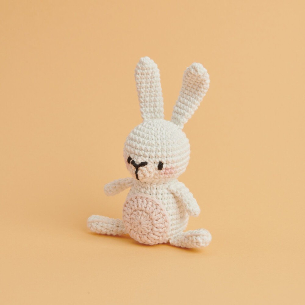 Set of Mini Easy Ricorumi DK cotton yarn - Rico Design - Bunny