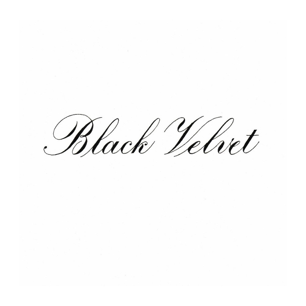 Tusz do kaligrafii India Ink - Speedball - Black Velvet 29 ml