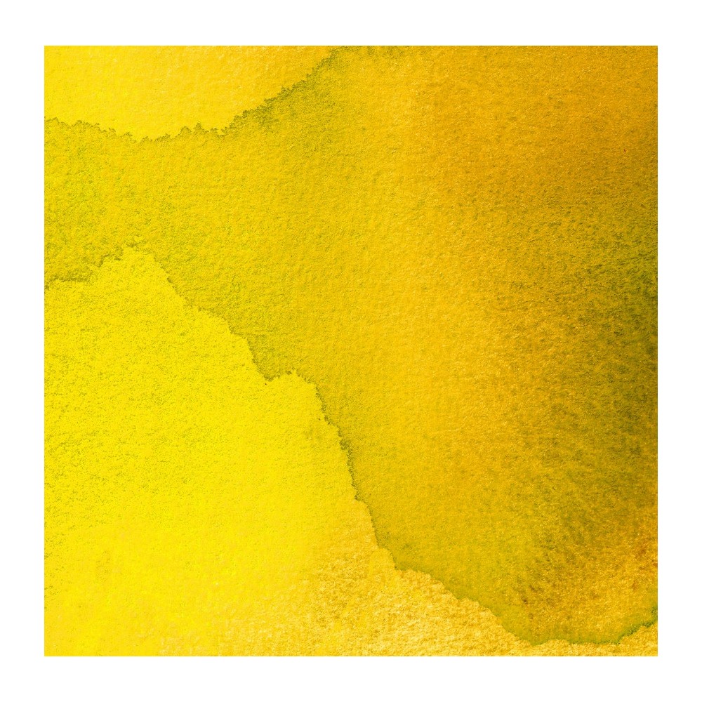 Tusz do kaligrafii India Ink - Speedball - Canary 29 ml