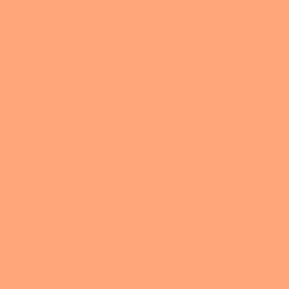 Acrylic Paint Marker – Liquitex – Coral 2 mm
