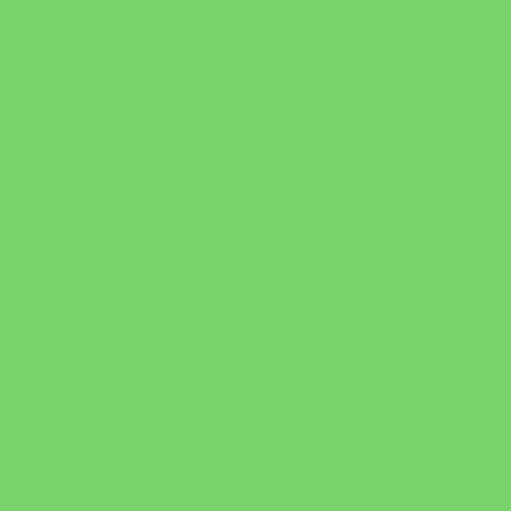 Marker akrylowy - Liquitex - Light Green 2 mm
