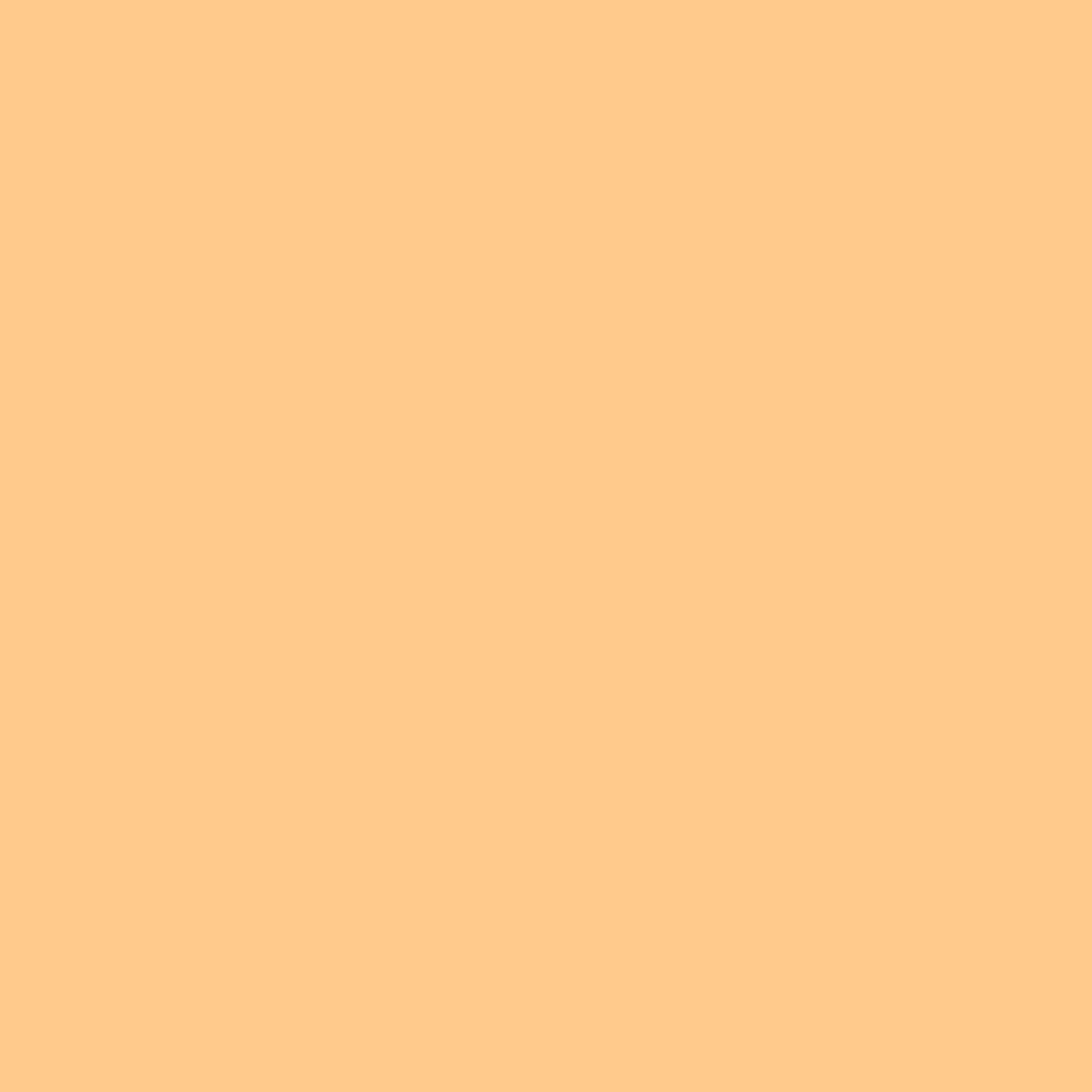 Marker akrylowy - Liquitex - Tan 2 mm