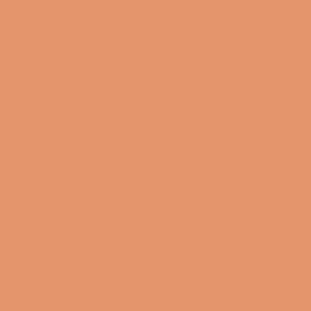 Marker akrylowy - Liquitex - Terracotta 2 mm