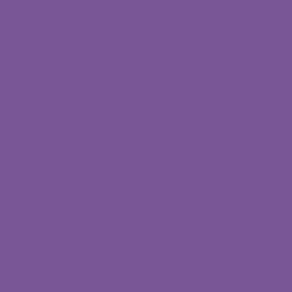 Marker akrylowy - Liquitex - Purple 8 mm