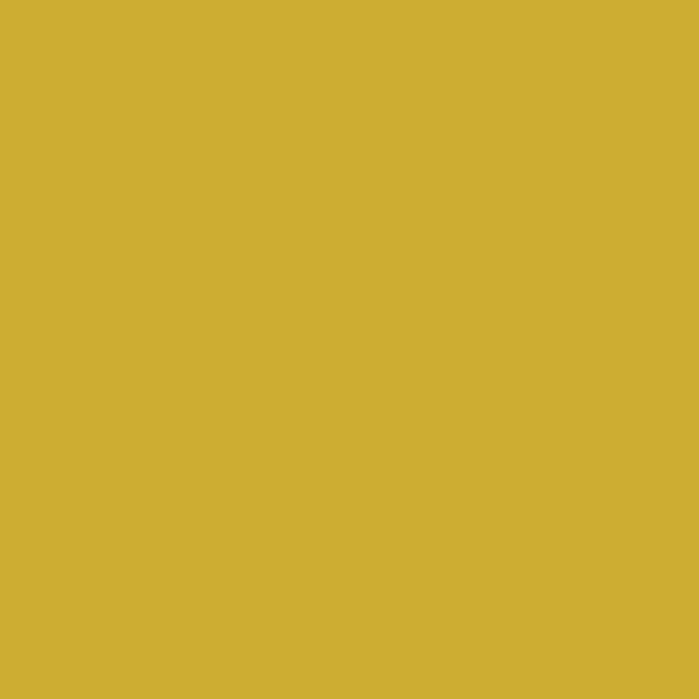 Acrylic Paint Marker – Liquitex – Metallic Gold 15 mm