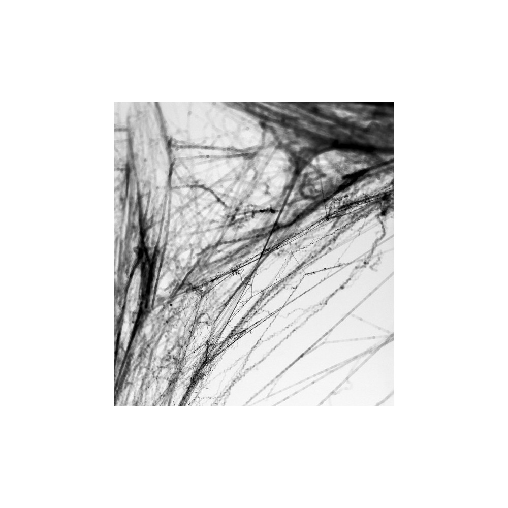 Spiderweb Halloween - black, 60 g