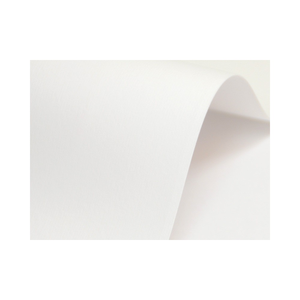 Papier Nettuno 215g - Bianco Artico biały A4