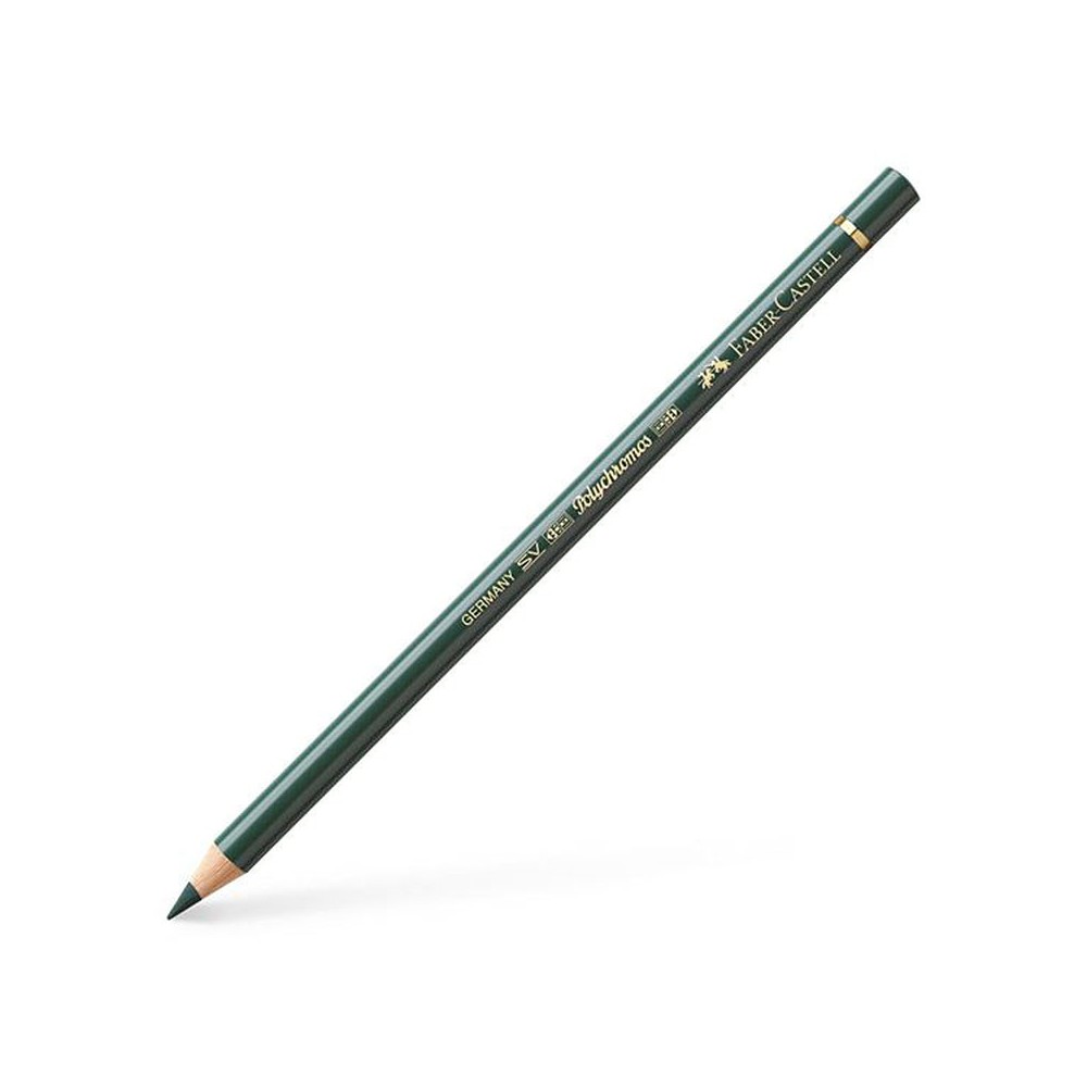 Polychromos Artists' Colour Pencil - Faber-Castell - 165 Juniper Green