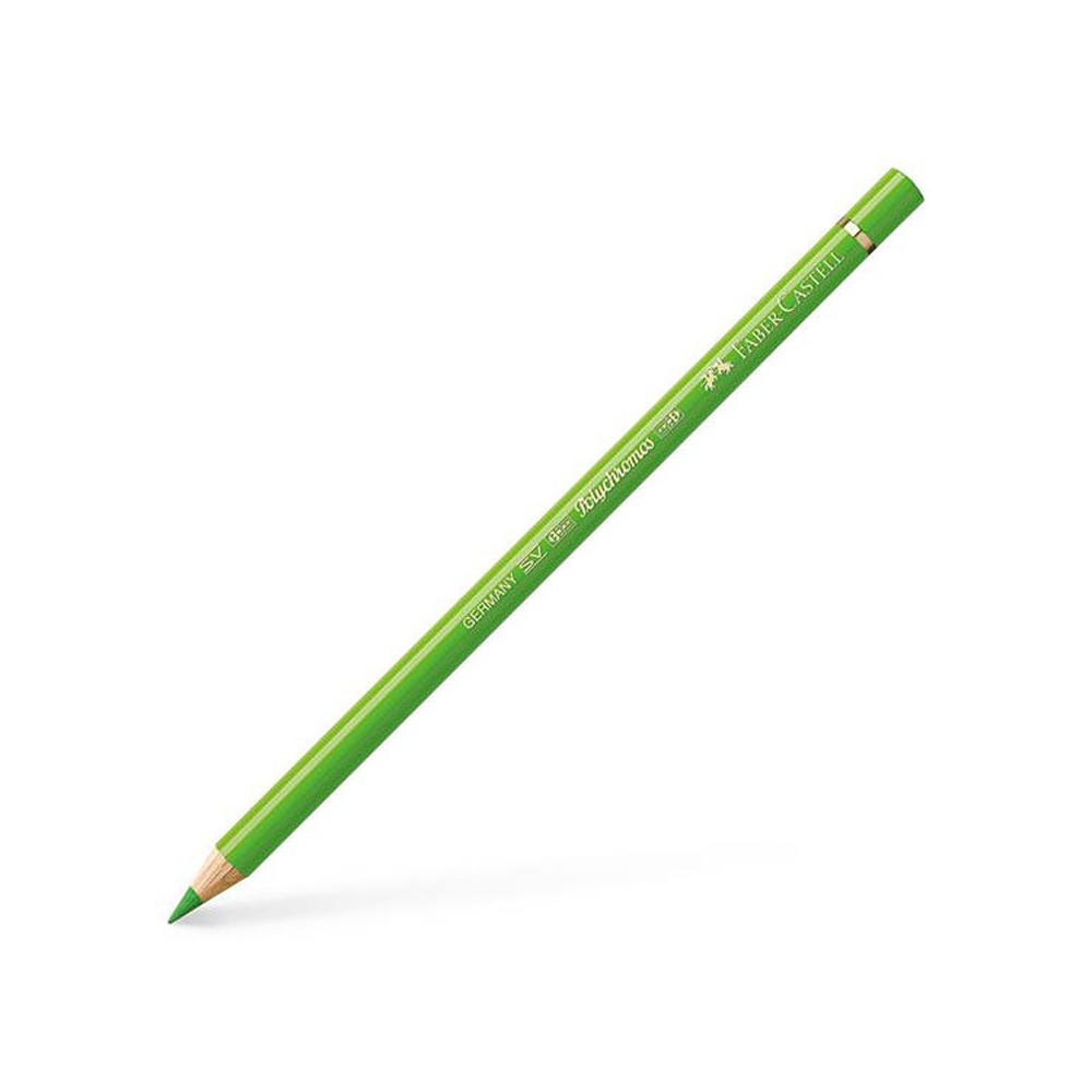 Polychromos Artists' Colour Pencil - Faber-Castell - 166 Grass Green