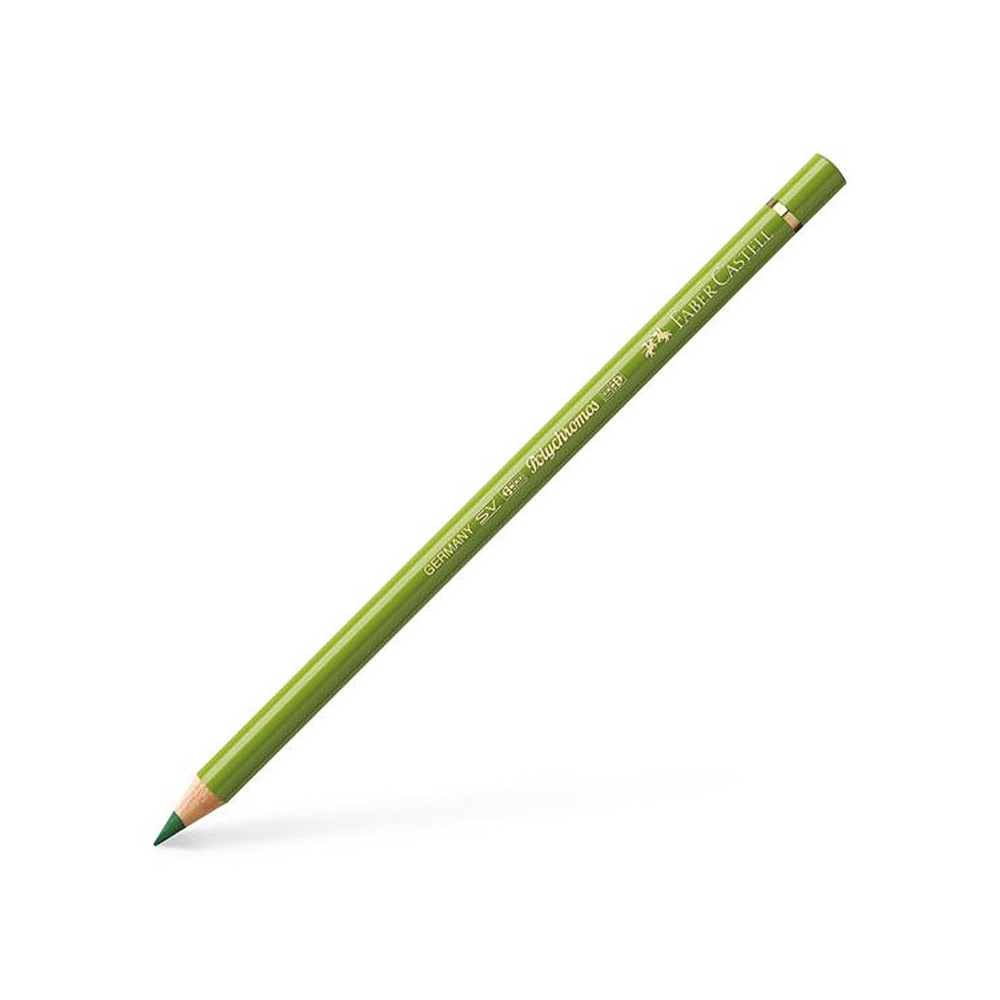 Polychromos Artists' Colour Pencil - Faber-Castell - 168 Earth Green Yellowish