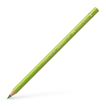 Polychromos Artists' Colour Pencil - Faber-Castell - 170 May Green