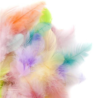 Decorative feathers - DpCraft - 5 g