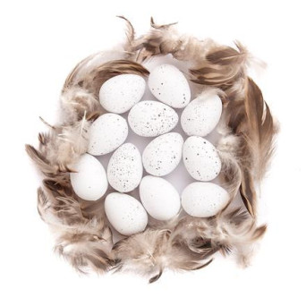 Quail eggs with feathers 4 cm, 12 pcs - White
