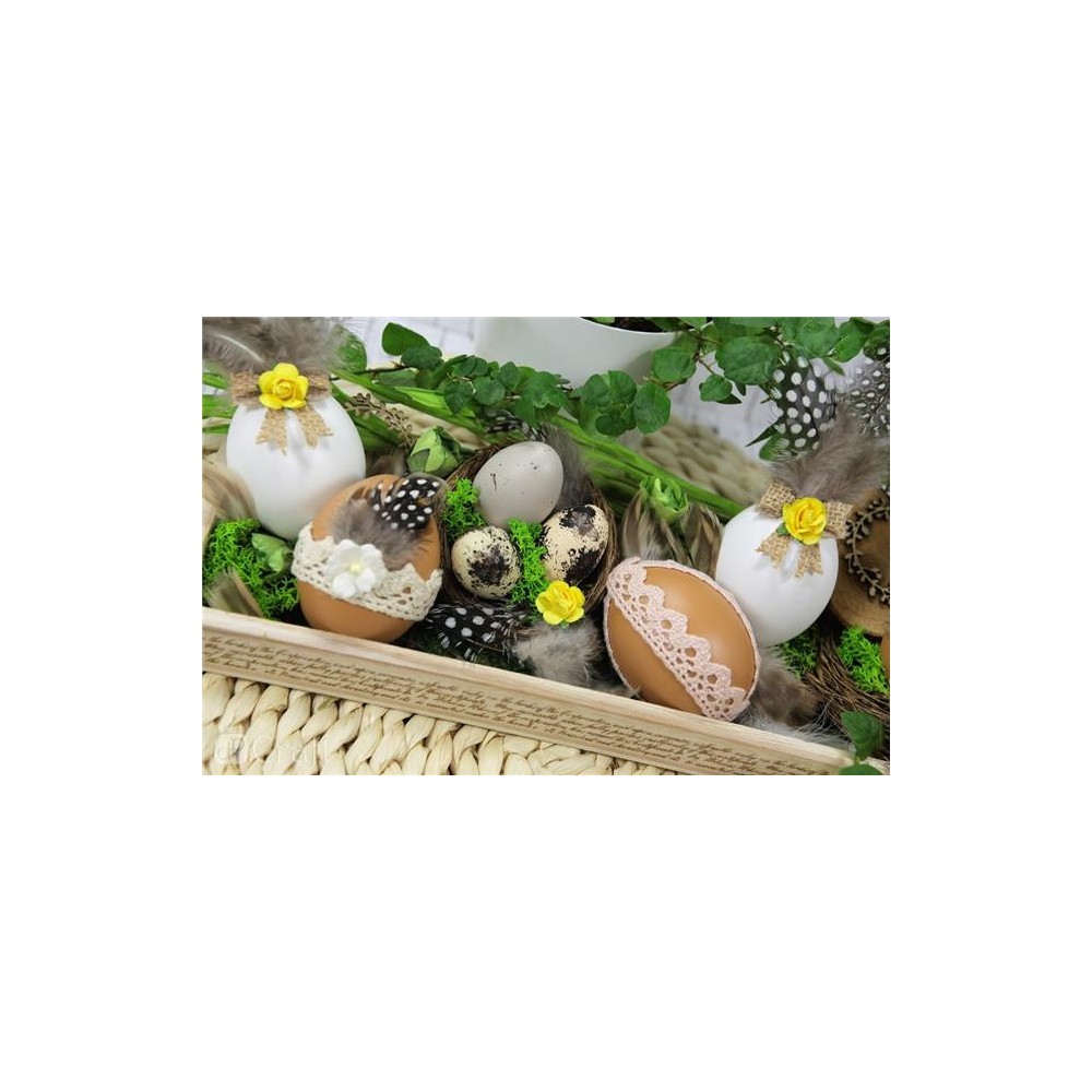 Jajka przepiórcze z piórami - DpCraft - białe, 4 cm, 12 szt.
