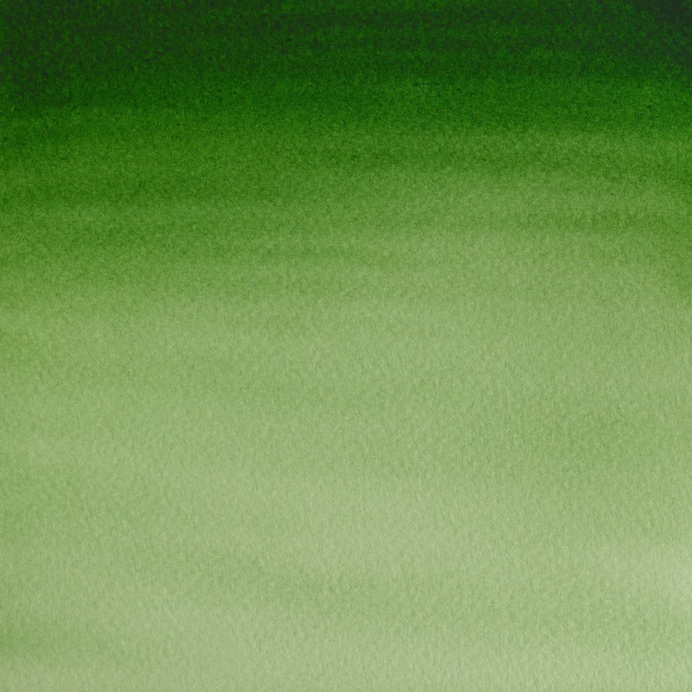 Cotman watercolor paint - Winsor & Newton - Hooker's Green Light, half pan