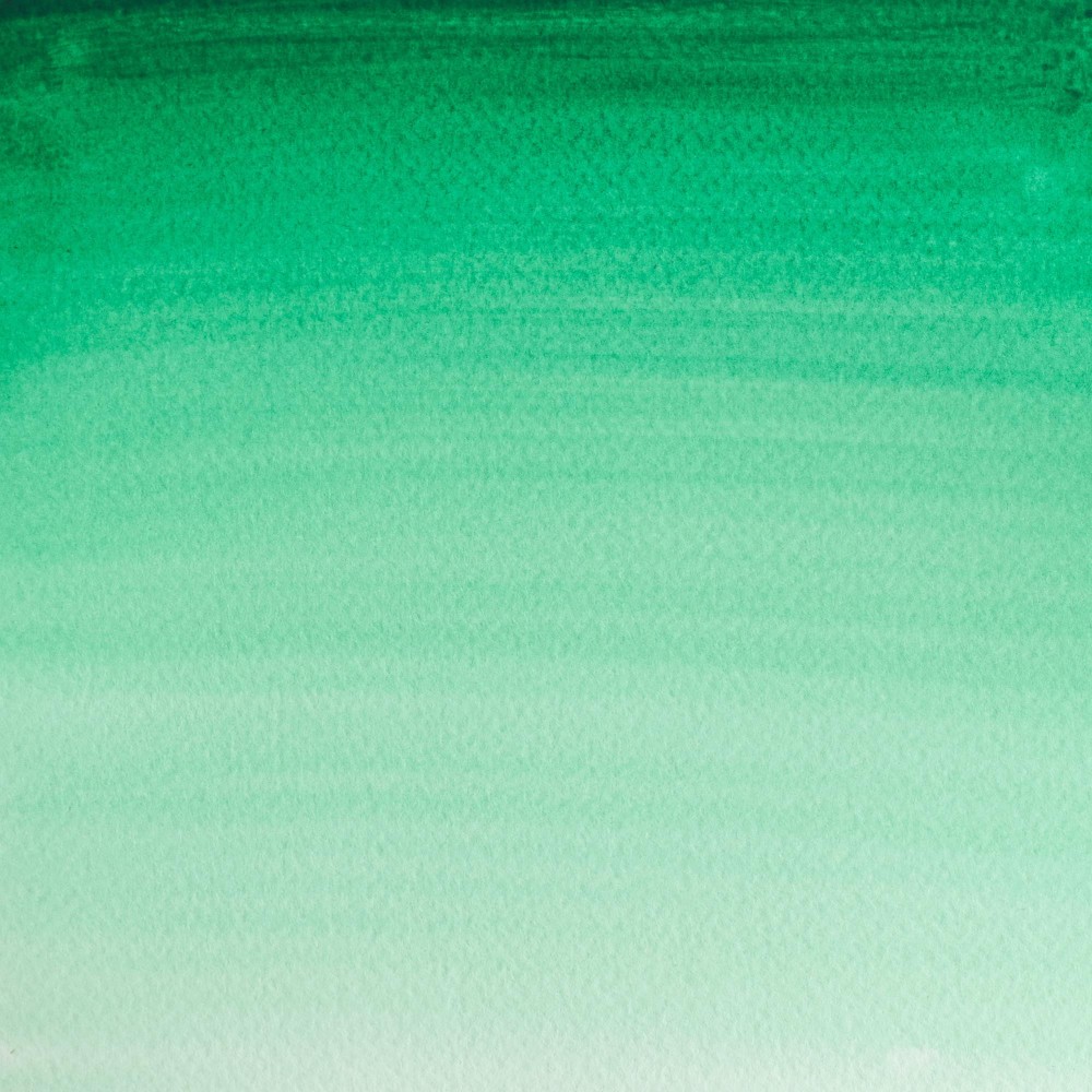 Cotman watercolor paint - Winsor & Newton - Intense Green, half pan