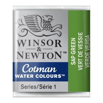 Cotman watercolor paint - Winsor & Newton - Sap Green, half pan