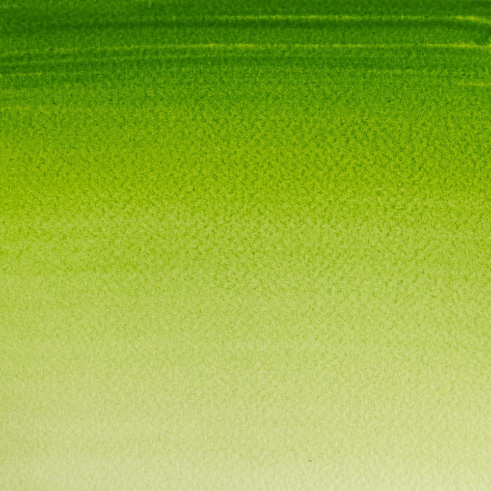 Farba akwarelowa Cotman - Winsor & Newton - Sap Green, półkostka