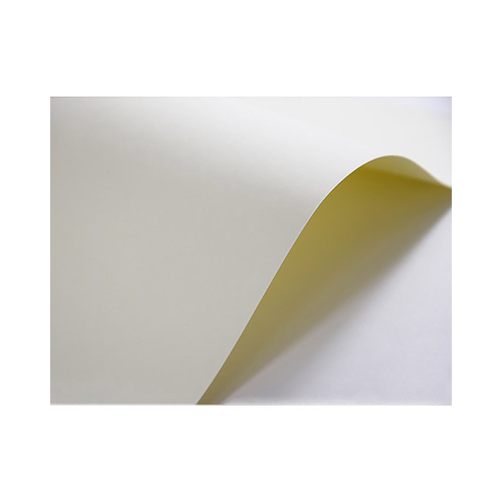 Papier Elfenbens 246g - Gładki (008), kremowy, A4, 20 ark.