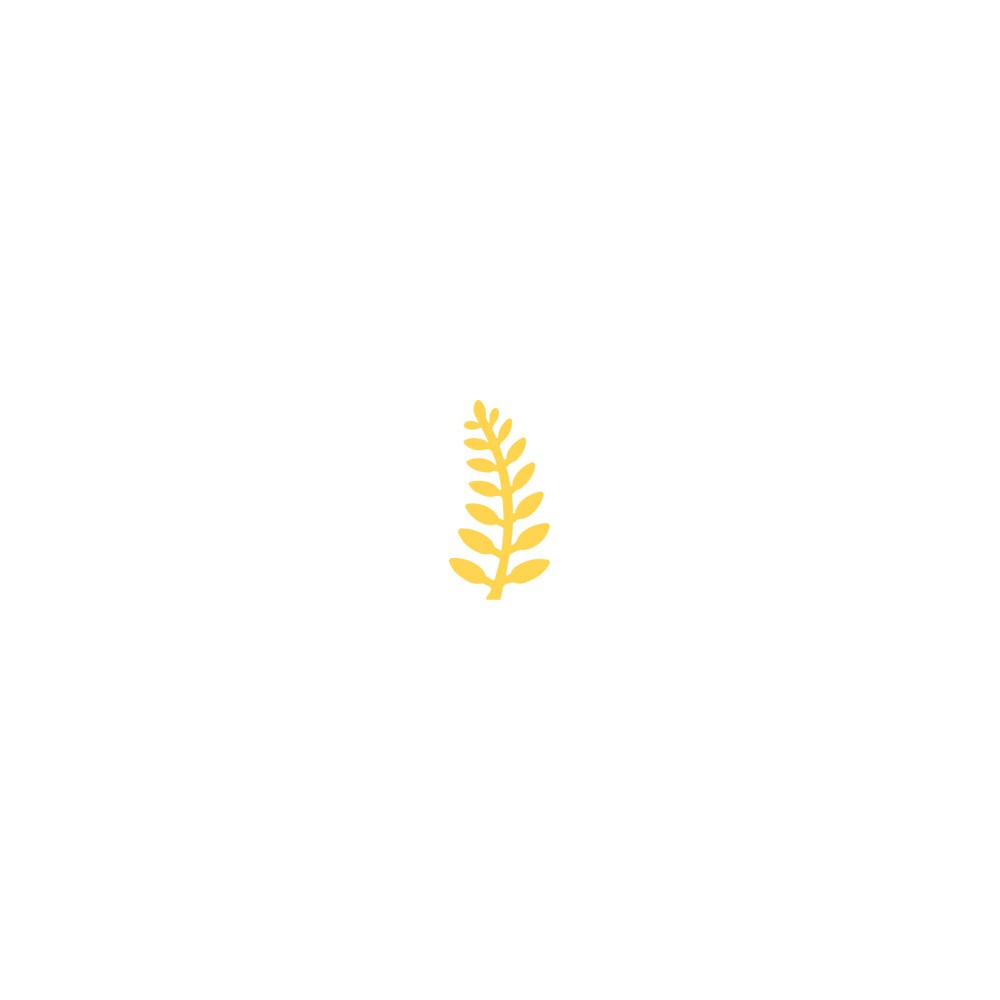 Craft Punch Fern 329 - DpCraft - 2,5 cm