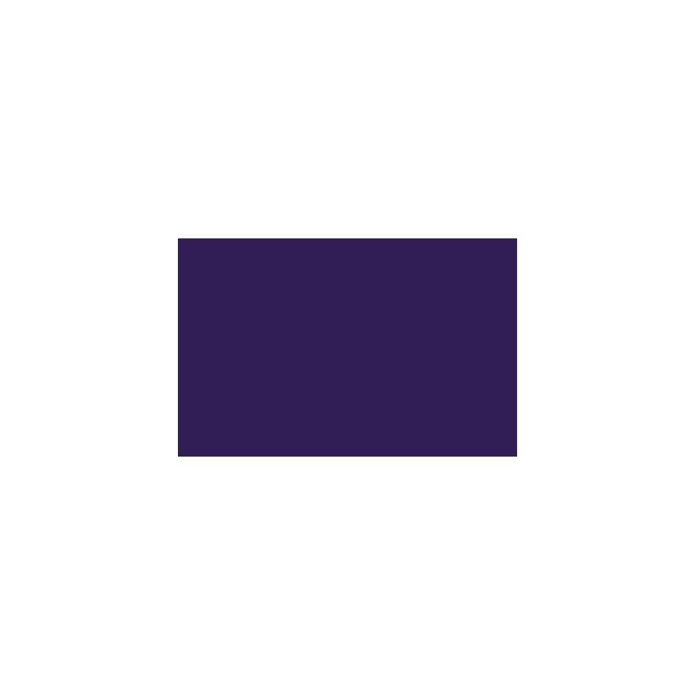 Spray paint - Liquitex - dioxazineazine purple, 400 ml